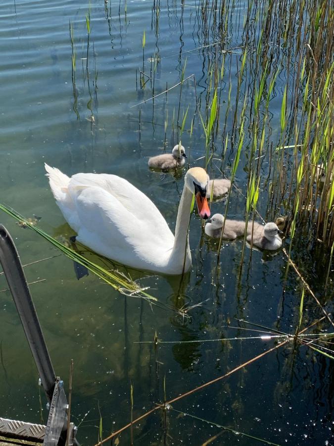 Sweet App Am See Ponitz am See エクステリア 写真
